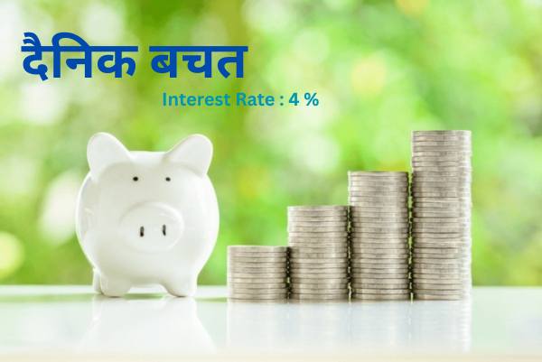 Daily Savings